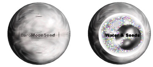 euromoon seeds